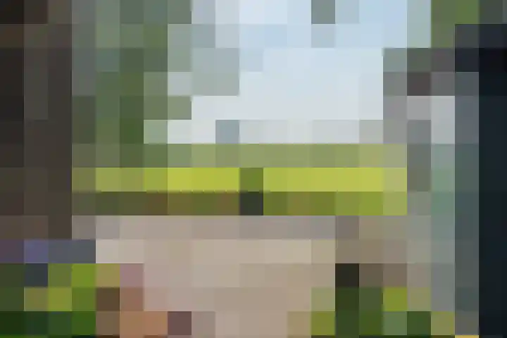 Hoogegeest 28 Akersloot thumbnail 37