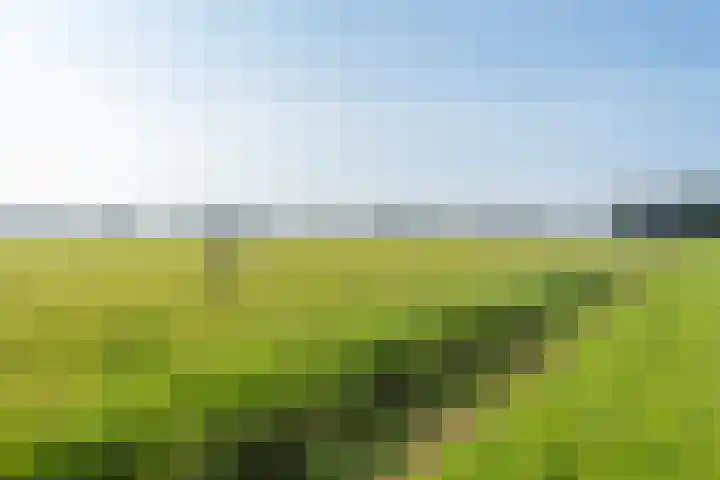 Hoogegeest 28 Akersloot thumbnail 38