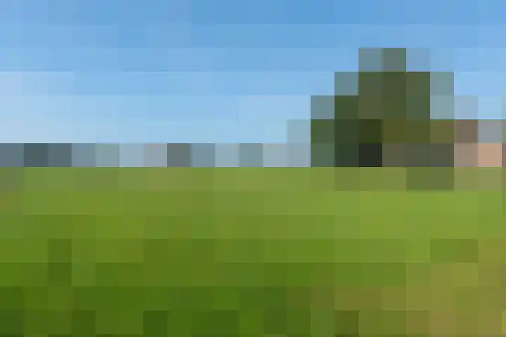 Hoogegeest 28 Akersloot thumbnail 39