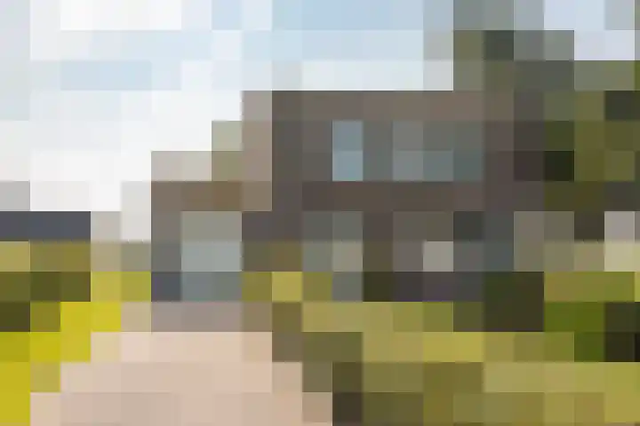 Hoogegeest 28 Akersloot thumbnail 4