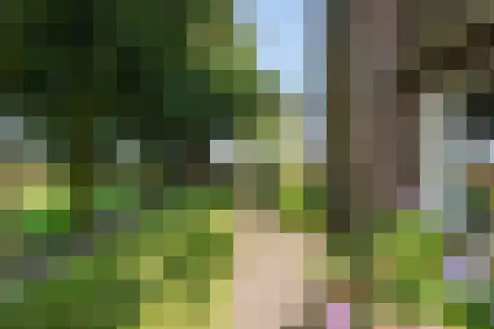 Hoogegeest 28 Akersloot thumbnail 41