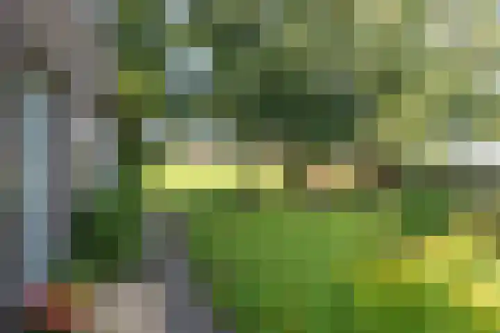 Hoogegeest 28 Akersloot thumbnail 42