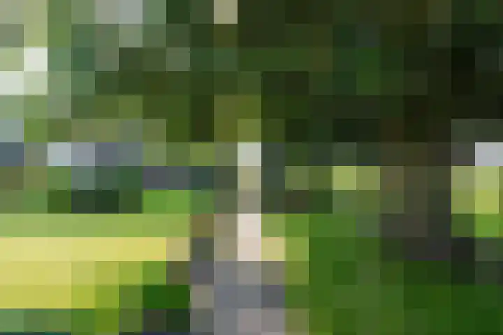 Hoogegeest 28 Akersloot thumbnail 44