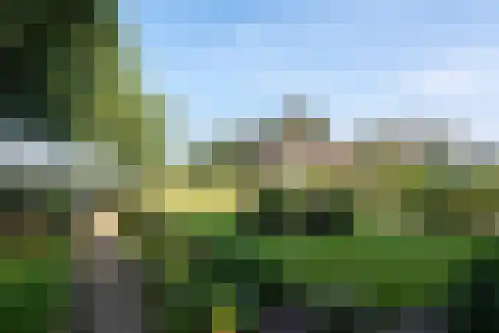 Hoogegeest 28 Akersloot thumbnail 45