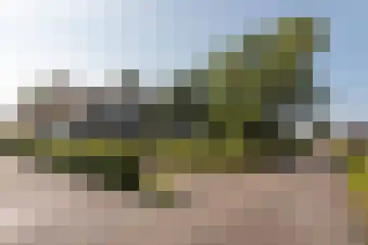 Hoogegeest 28 Akersloot thumbnail 46