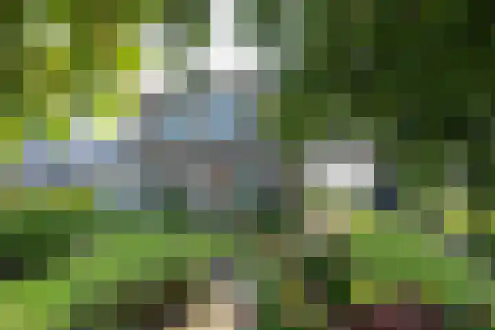 Hoogegeest 28 Akersloot thumbnail 47