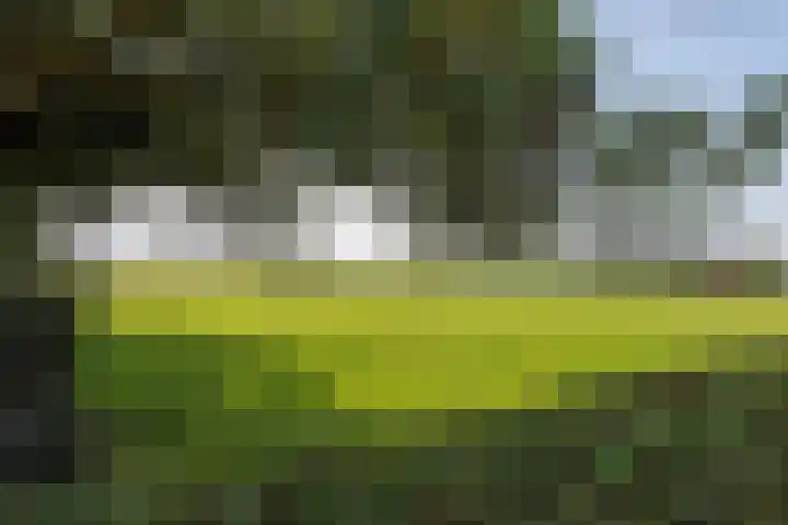 Hoogegeest 28 Akersloot thumbnail 48