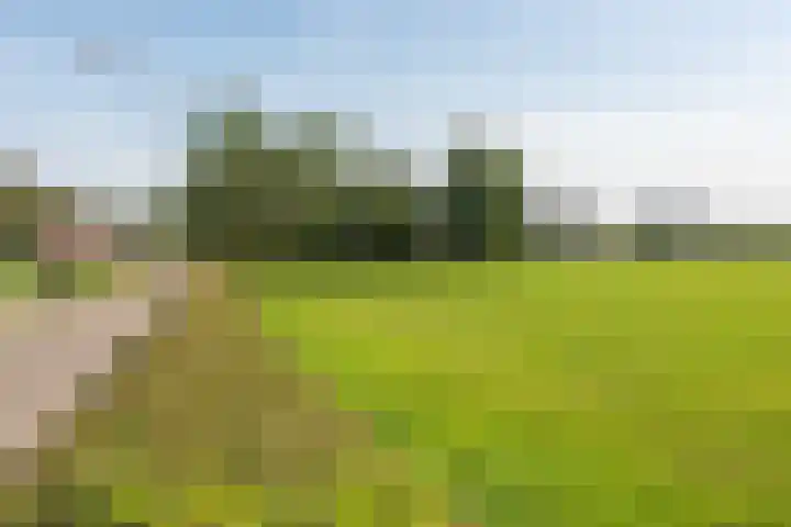 Hoogegeest 28 Akersloot thumbnail 50