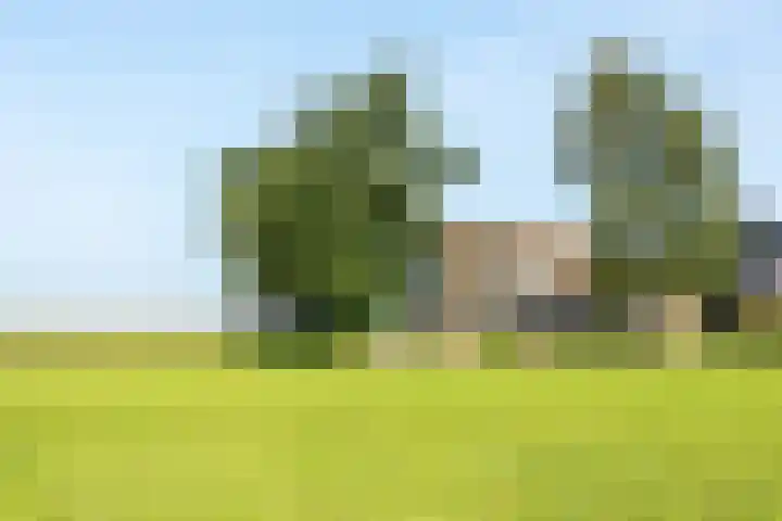Hoogegeest 28 Akersloot thumbnail 55