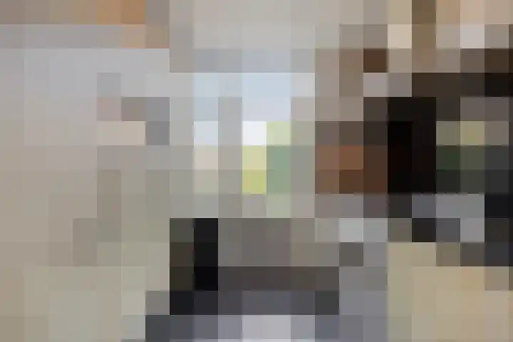 Hoogeind 131 Breda thumbnail 10