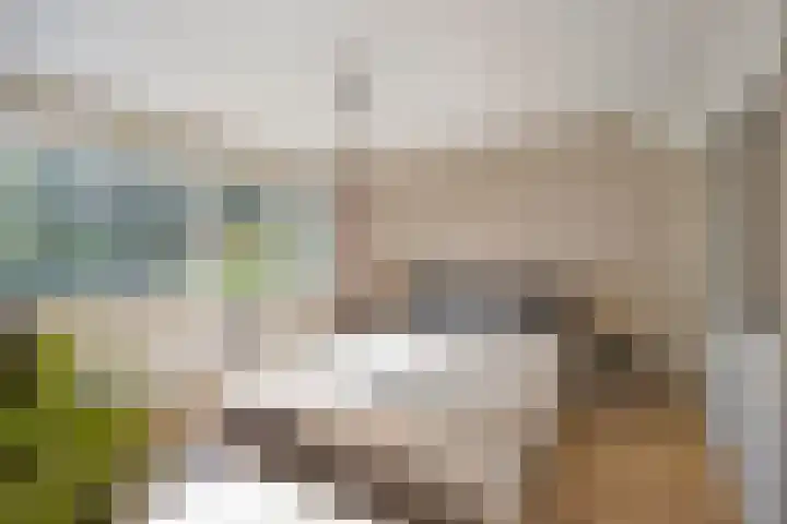 Hoogeind 131 Breda thumbnail 12