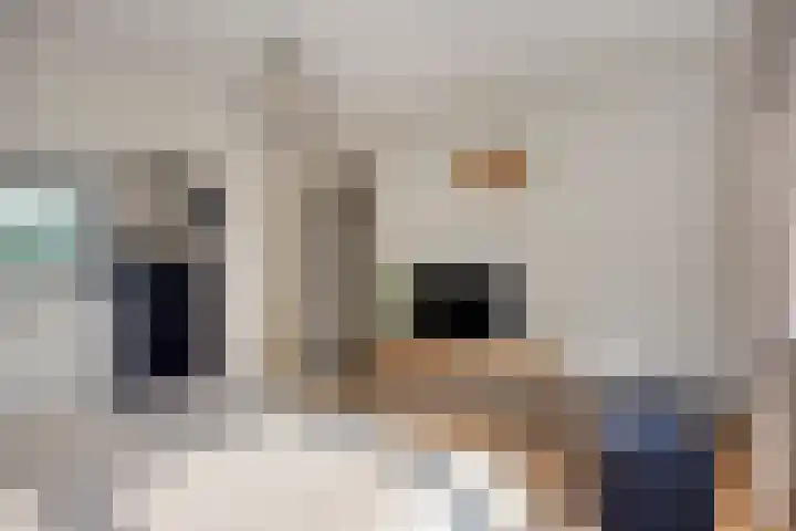 Hoogeind 131 Breda thumbnail 13