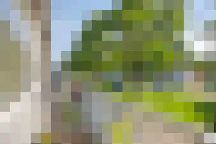 Hoogeind 131 Breda thumbnail 14