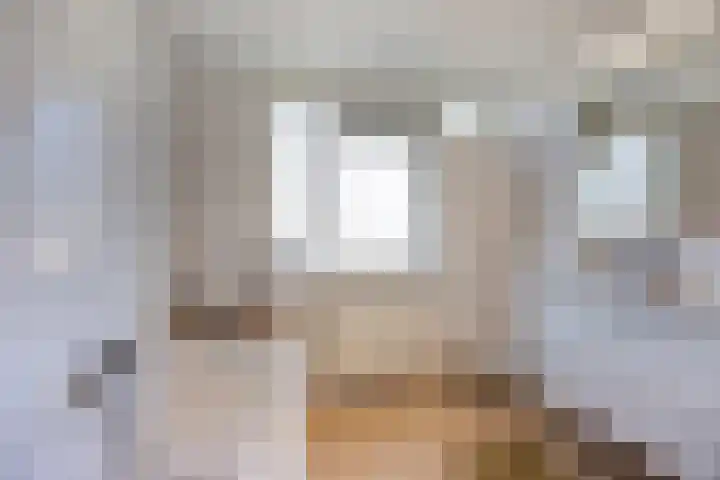 Hoogeind 131 Breda thumbnail 17