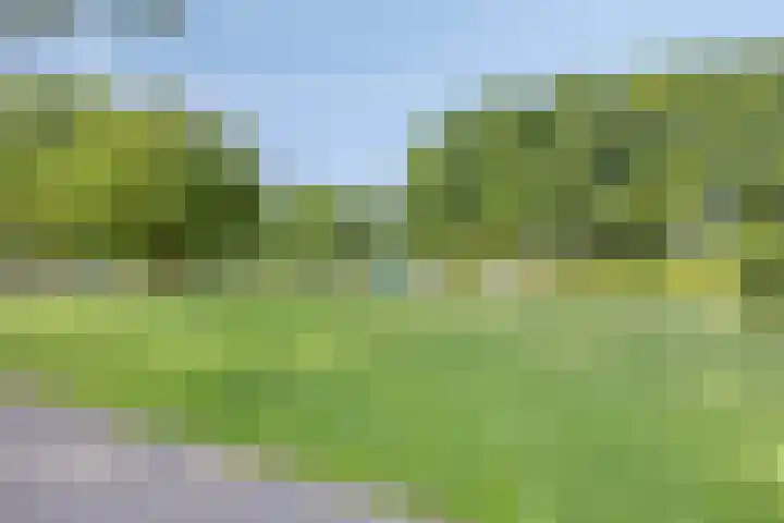 Hoogeind 131 Breda thumbnail 25