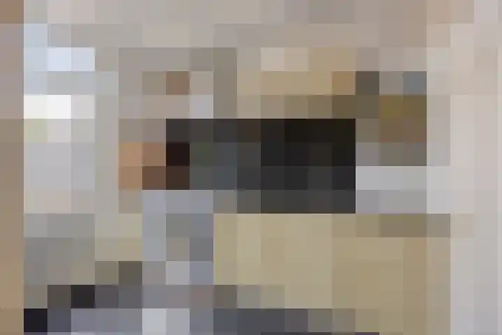 Hoogeind 131 Breda thumbnail 9