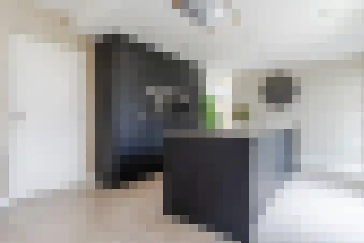 Hoogeind 15 Luyksgestel thumbnail 17