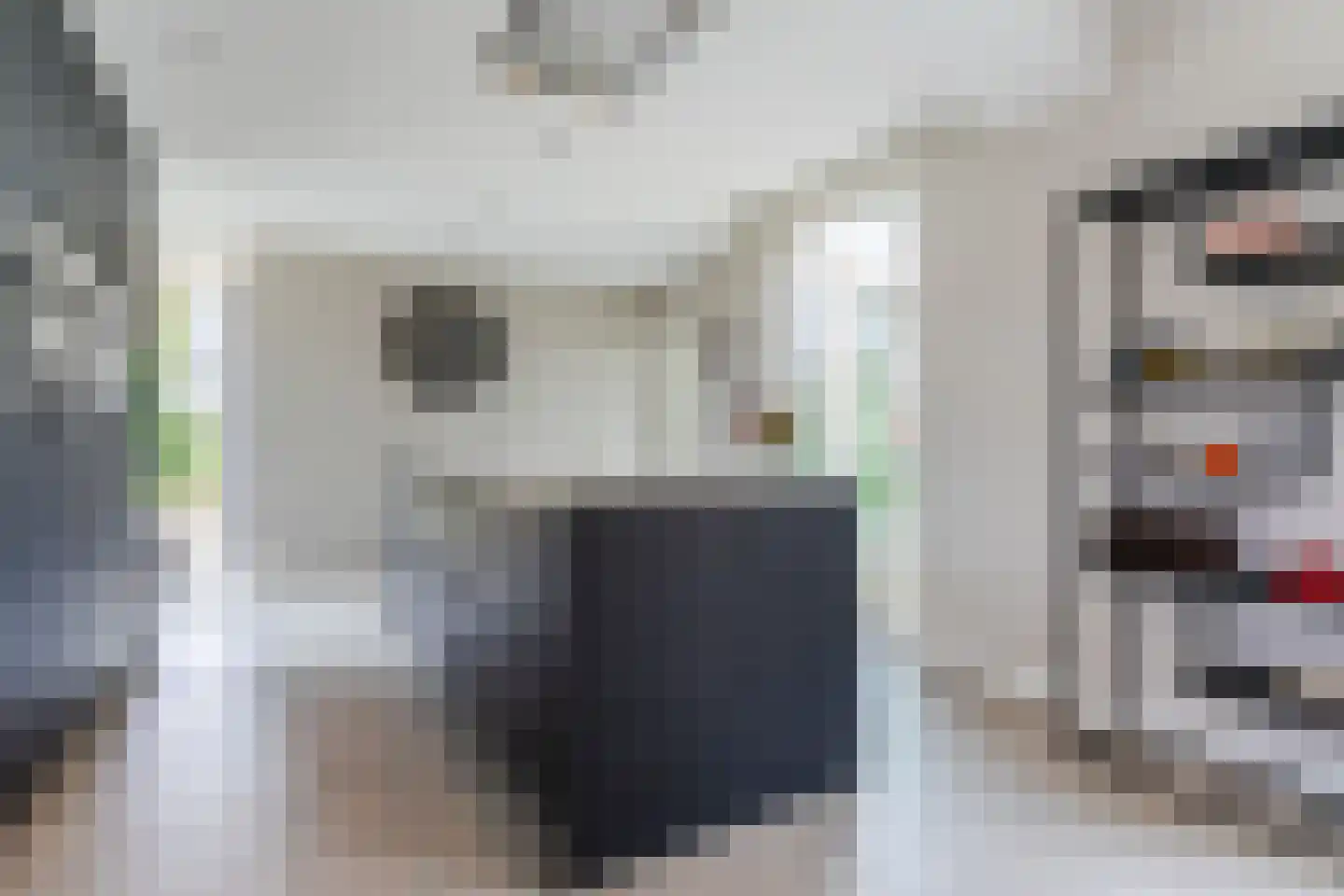 Hoogeind 15 Luyksgestel thumbnail 18
