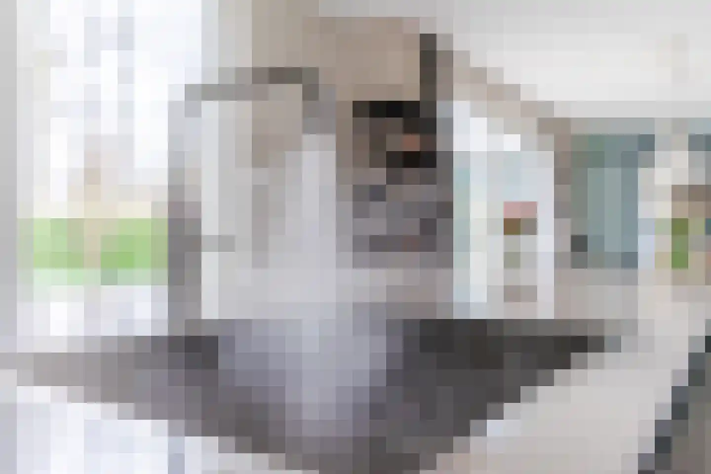 Hoogeind 15 Luyksgestel thumbnail 20