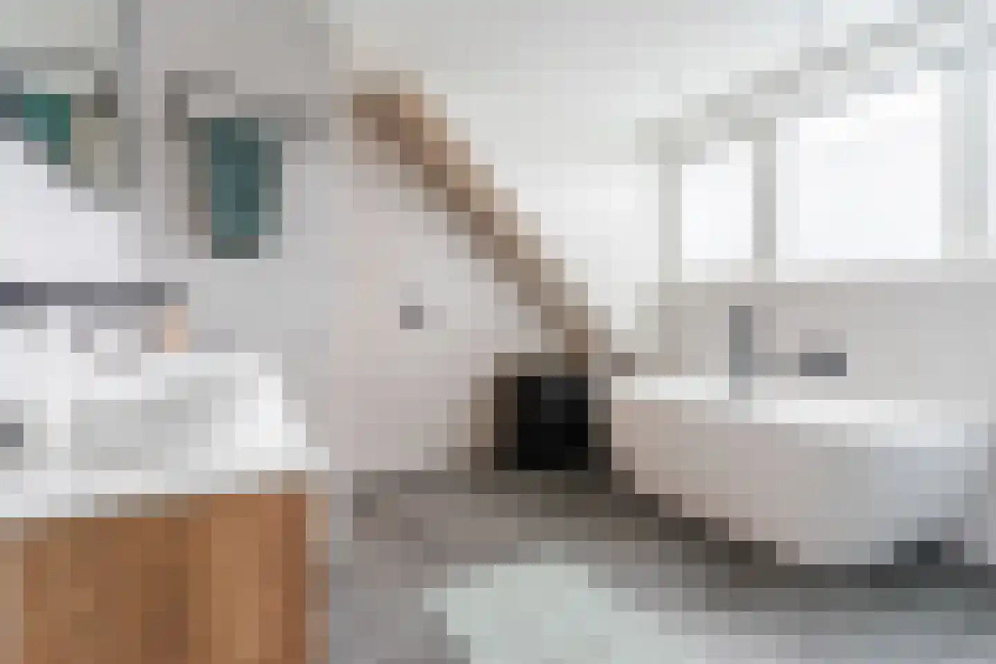 Hoogeind 15 Luyksgestel thumbnail 33