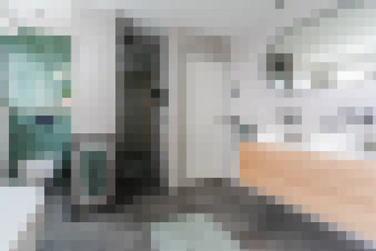 Hoogeind 15 Luyksgestel thumbnail 34