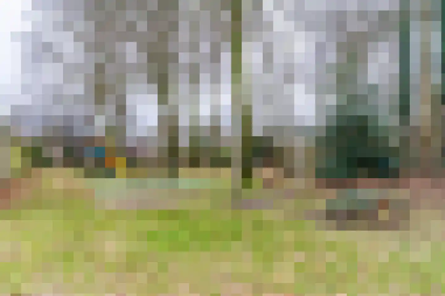 Hoogeind 15 Luyksgestel thumbnail 45