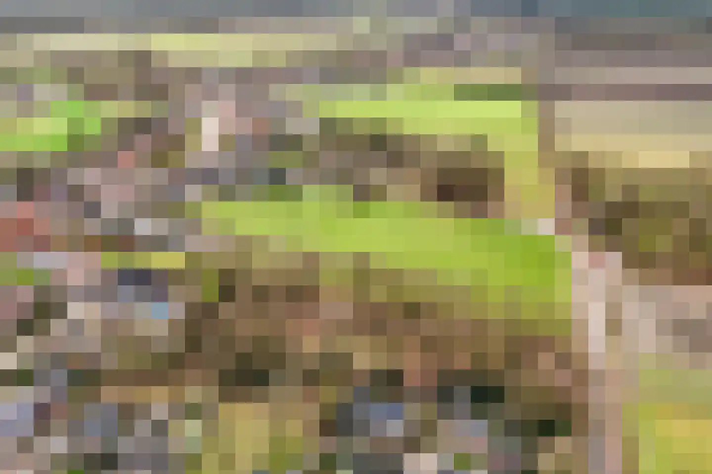 Hoogeind 15 Luyksgestel thumbnail 46