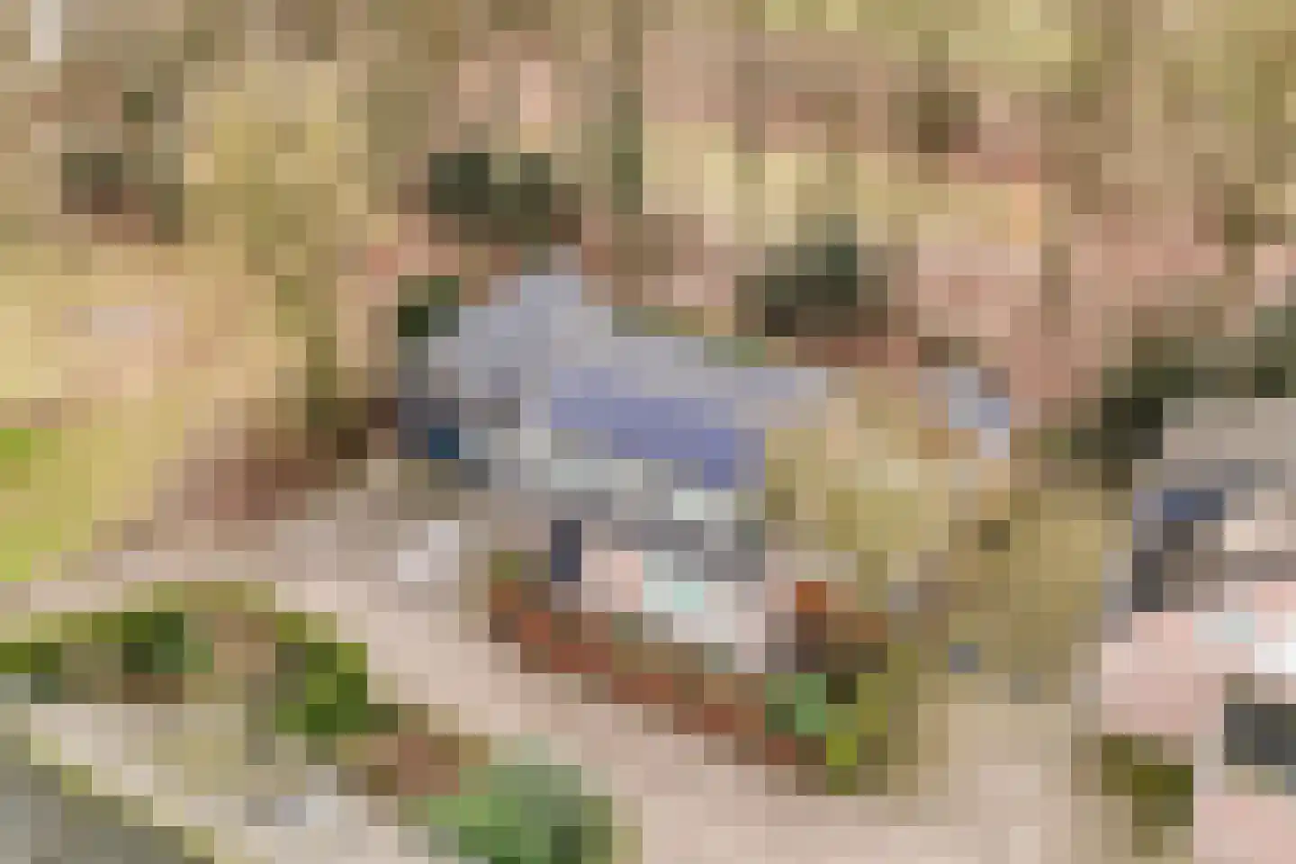 Hoogeind 15 Luyksgestel thumbnail 5