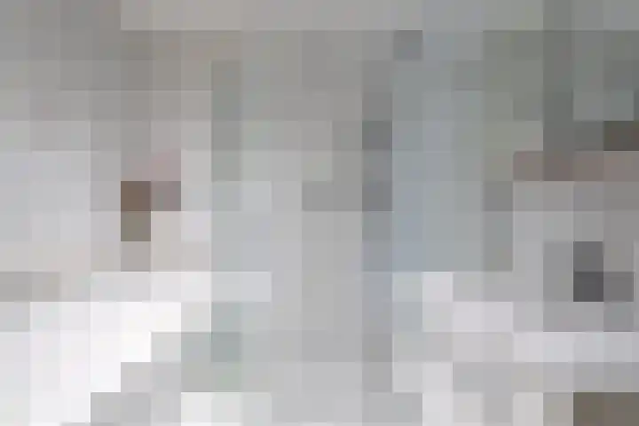 Hoogeind 15 Oosteind thumbnail 10