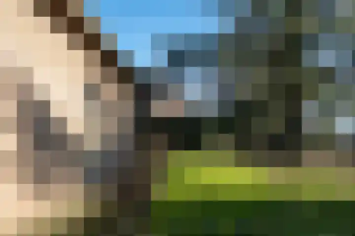 Hoogeind 15 Oosteind thumbnail 5