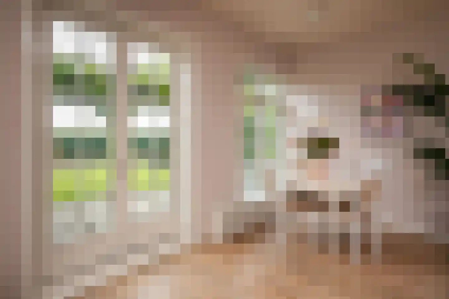 Hoogeind 17 Leerdam thumbnail 18