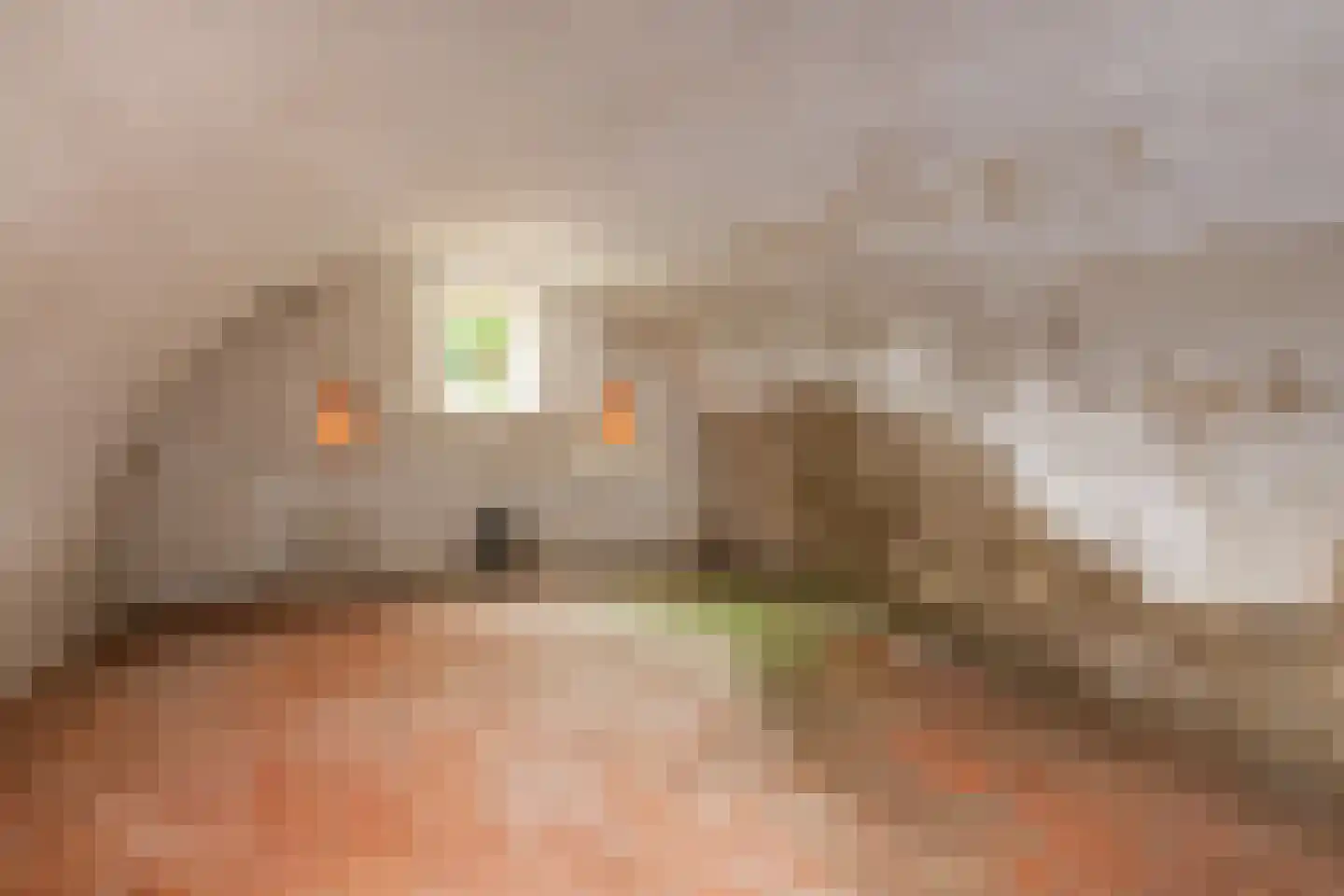 Hoogeind 17 Leerdam thumbnail 24