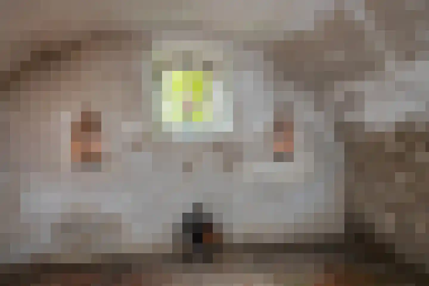 Hoogeind 17 Leerdam thumbnail 25