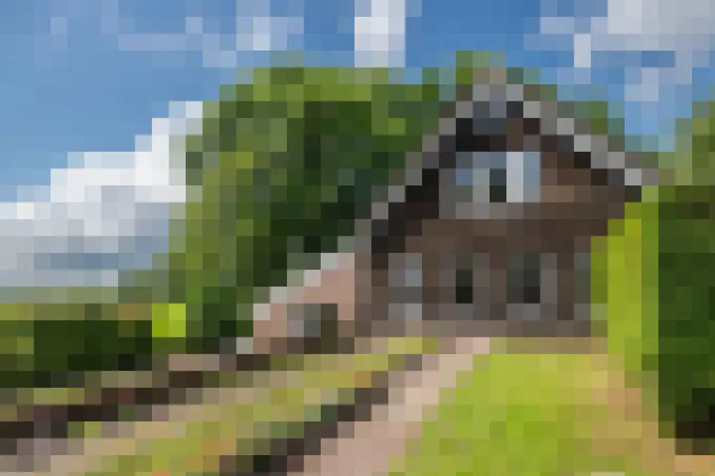 Hoogeind 17 Leerdam thumbnail 33