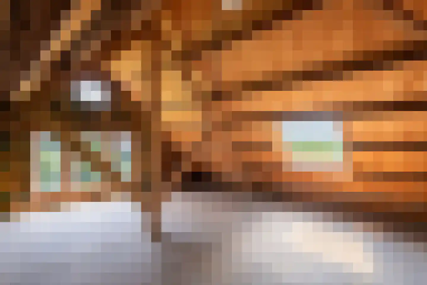 Hoogeind 17 Leerdam thumbnail 38