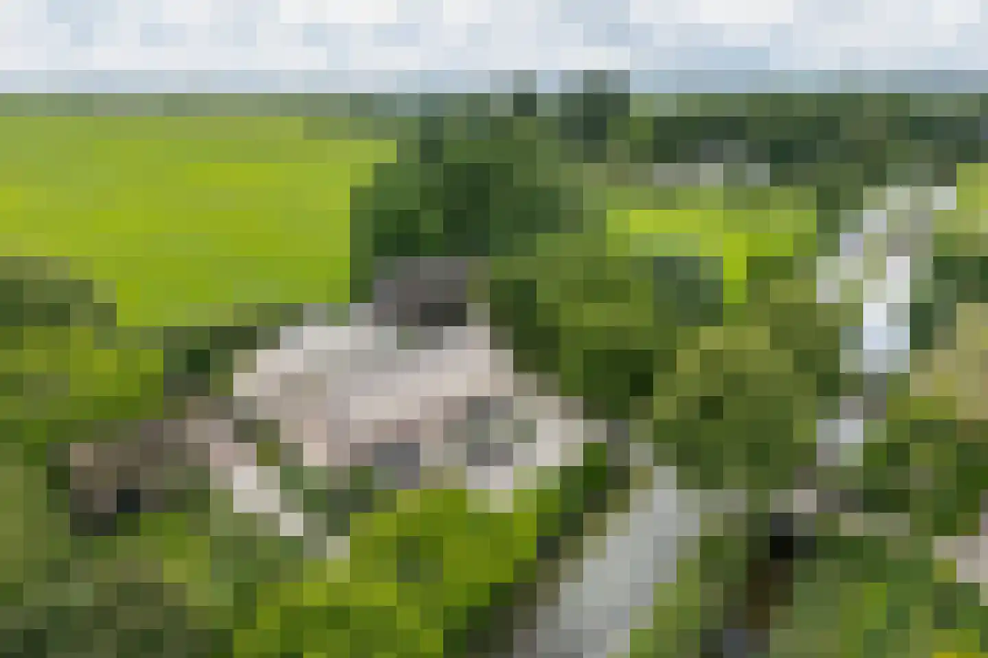 Hoogeind 17 Leerdam thumbnail 4