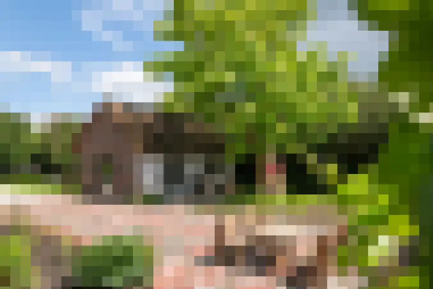 Hoogeind 17 Leerdam thumbnail 46