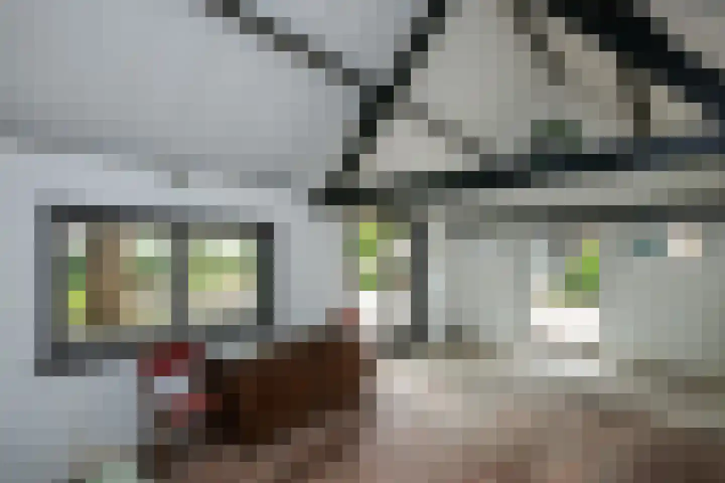 Hoogeind 17 Leerdam thumbnail 47