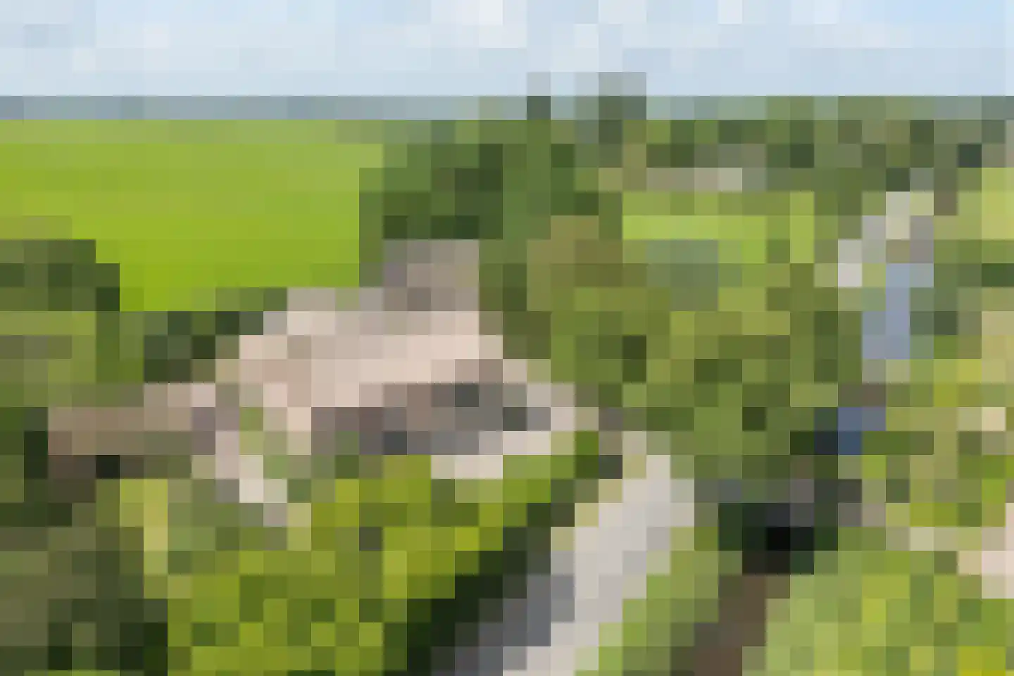 Hoogeind 17 Leerdam thumbnail 53