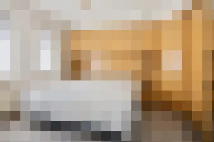 Hoogeind 2 Oosteind thumbnail 12