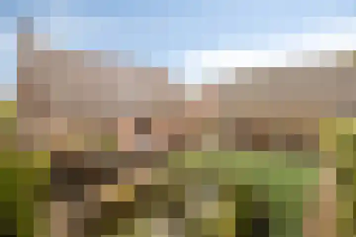 Hoogeind 2 Oosteind thumbnail 28