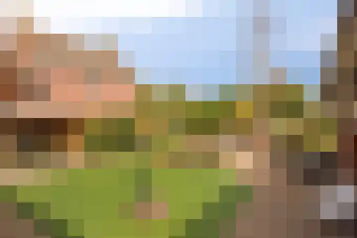 Hoogeind 2 Oosteind thumbnail 29