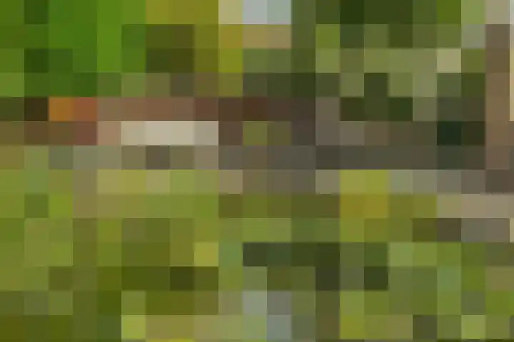 Hoogeind 2 Oosteind thumbnail 30