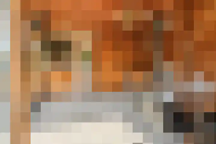 Hoogeind 2 Oosteind thumbnail 31