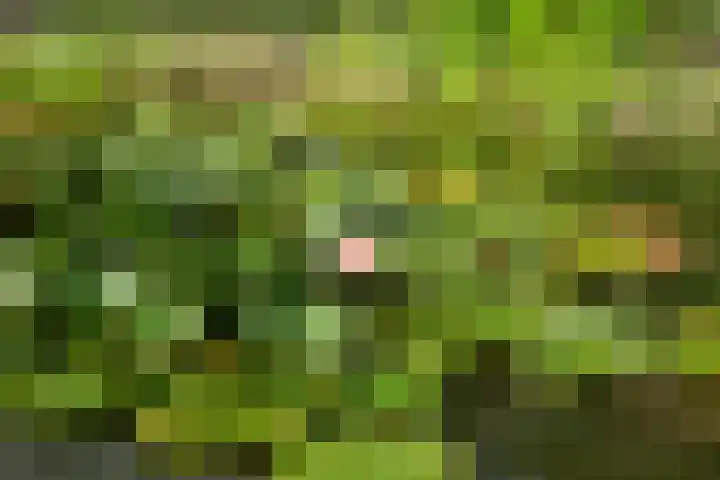 Hoogeind 2 Oosteind thumbnail 34