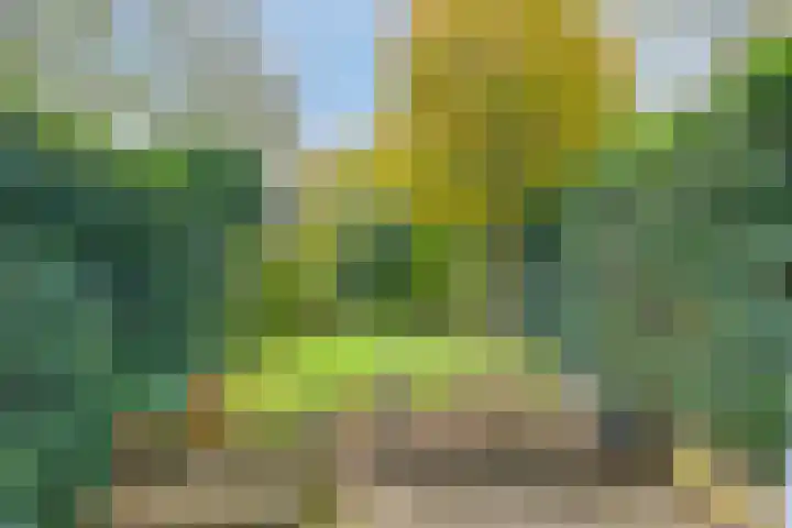Hoogeind 34 Breda thumbnail 24