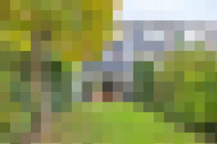 Hoogeind 34 Breda thumbnail 25