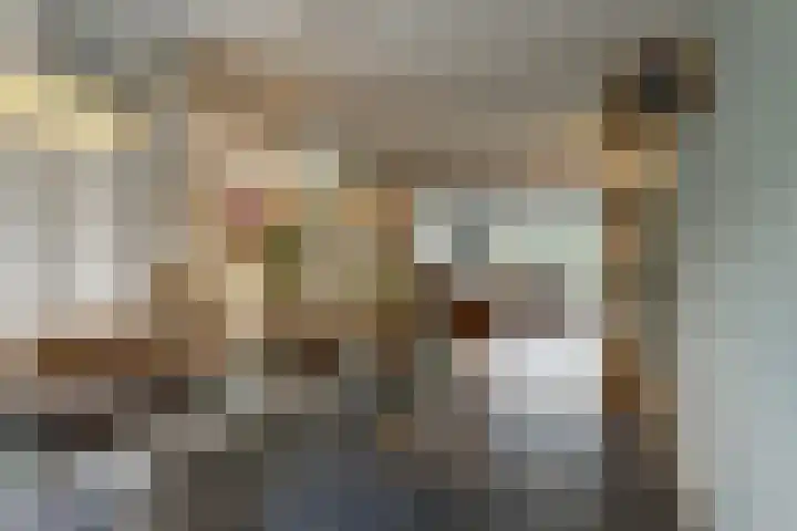 Hoogeind 47 Luyksgestel thumbnail 19