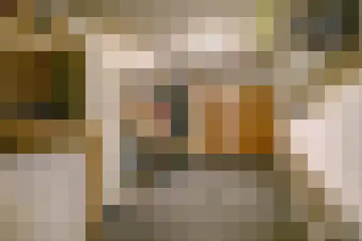 Hoogeind 47 Luyksgestel thumbnail 23