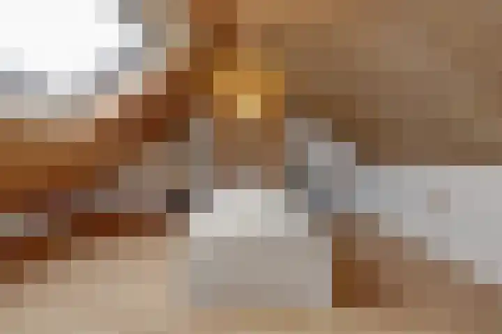 Hoogeind 47 Luyksgestel thumbnail 36